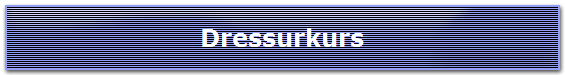 Dressurkurs